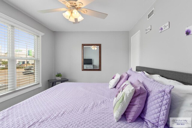 bedroom with ceiling fan