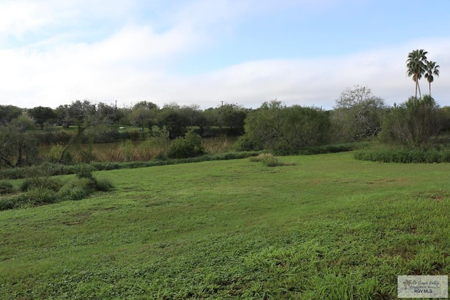 view of yard featuring a rural view