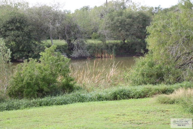 view of nature with a water view