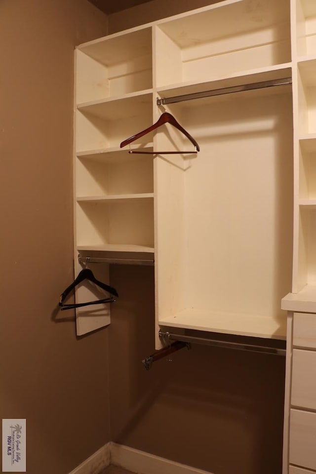 view of spacious closet