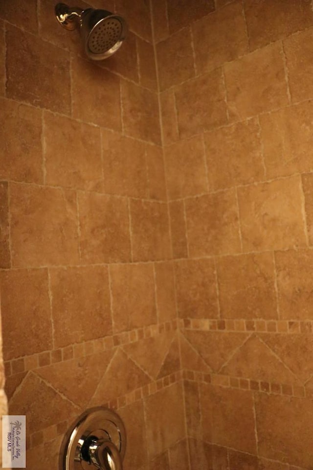 interior details with tiled shower