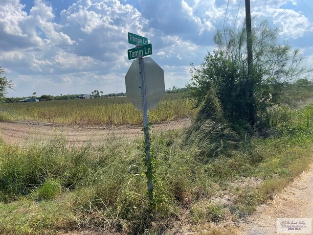 10.59ACRES S Tamm Ln, Harlingen, TX 78550