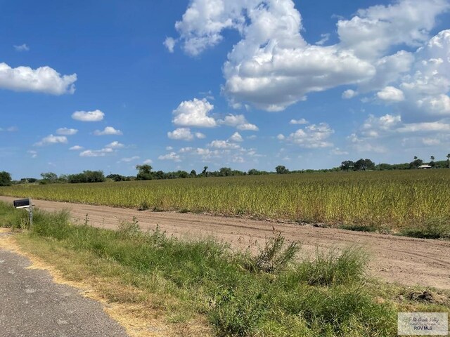 10.59ACRES S Tamm Ln, Harlingen, TX 78550