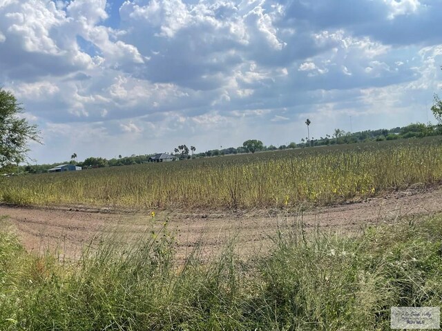 10.59ACRES S Tamm Ln, Harlingen, TX 78550