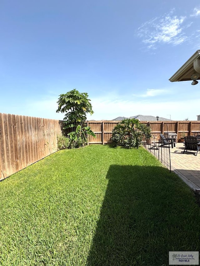 6020 Rusty Nail Dr, Brownsville, TX 78526 - fenced backyard featuring a patio area