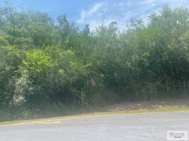 0 Island Estates St, San Benito, TX 78586 - photo 6