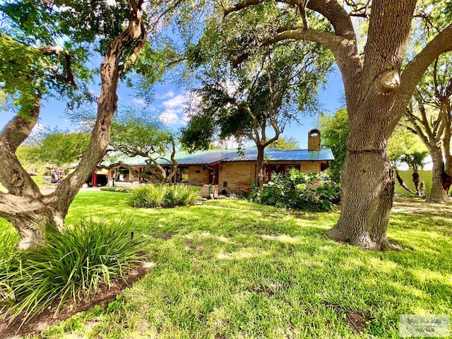 1914 S Parkwood Dr, Harlingen, TX 78550 - view of green lawn