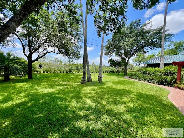 1914 S Parkwood Dr, Harlingen, TX 78550 - view of grassy yard