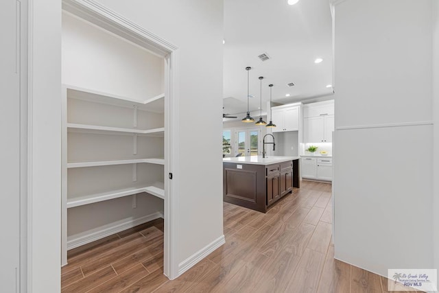 pantry with visible vents and a sink