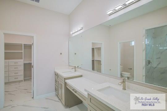 bathroom with toilet, vanity, and walk in shower