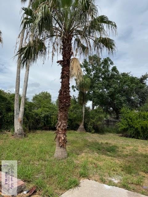 426 Winnipeg Ave, Brownsville, TX 78526 - photo 7