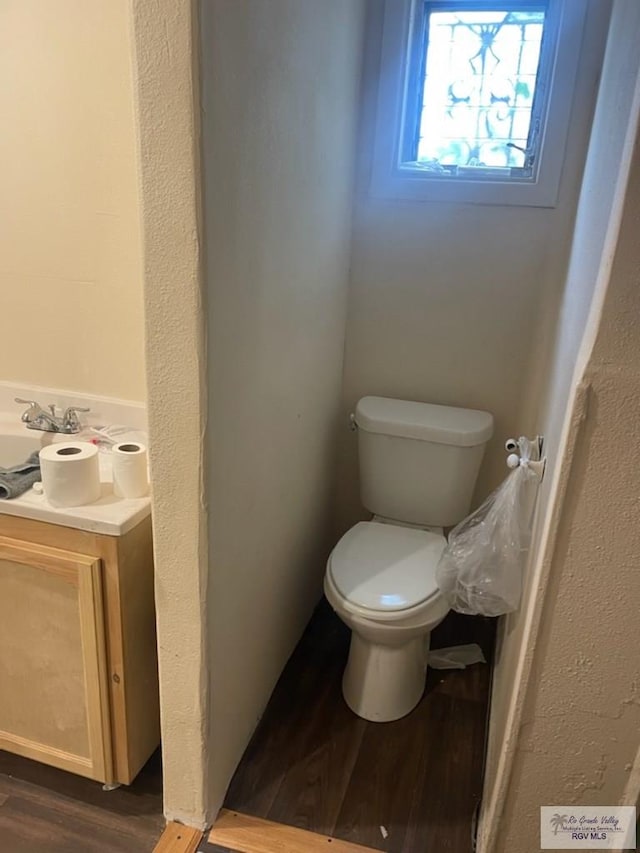 bathroom featuring vanity, hardwood / wood-style flooring, and toilet