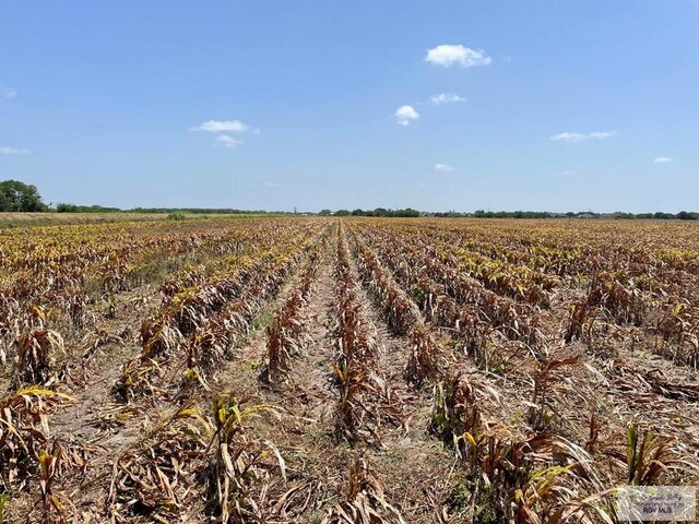 22.075ACRES Glenview Rd, Rio Hondo, TX 78583 - photo 4