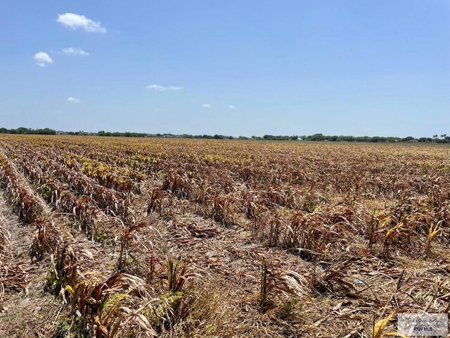 22.075ACRES Glenview Rd, Rio Hondo, TX 78583 - photo 6