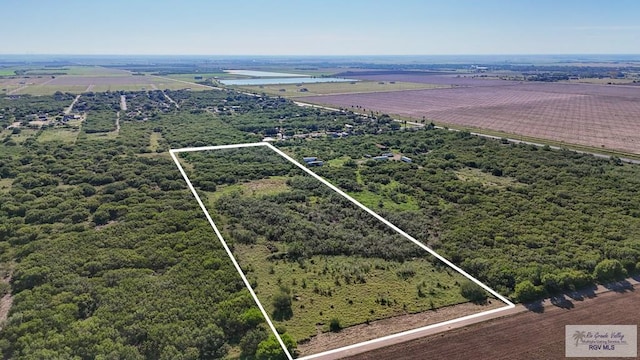 Listing photo 3 for 0 Monte Cristo Rd, Edcouch TX 78538