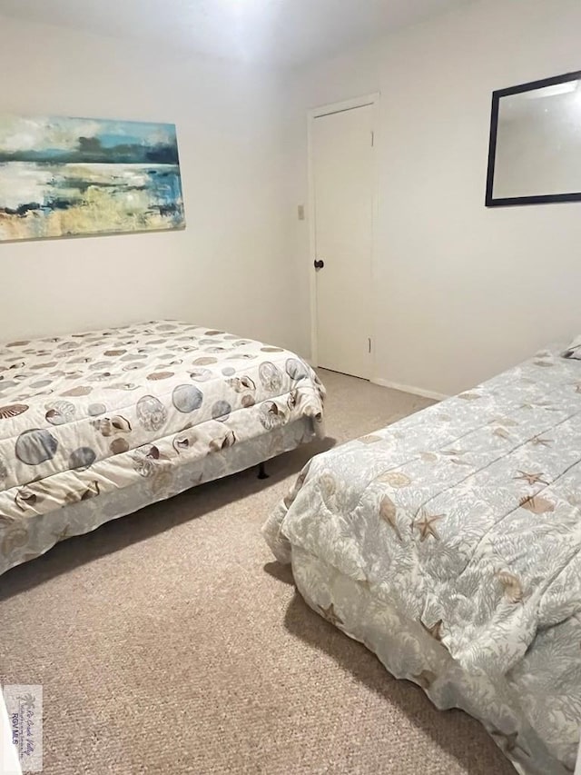 bedroom with carpet