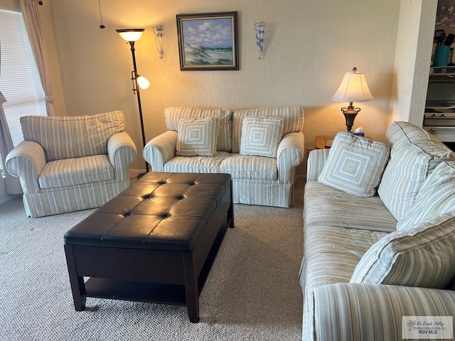 carpeted living area featuring a textured wall