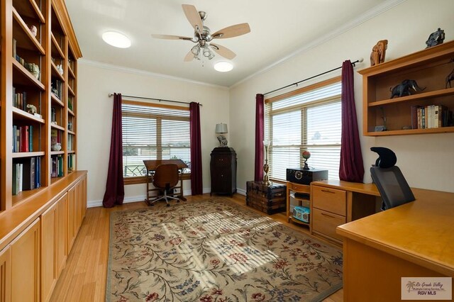 office with light wood-type flooring, ceiling fan, and crown molding