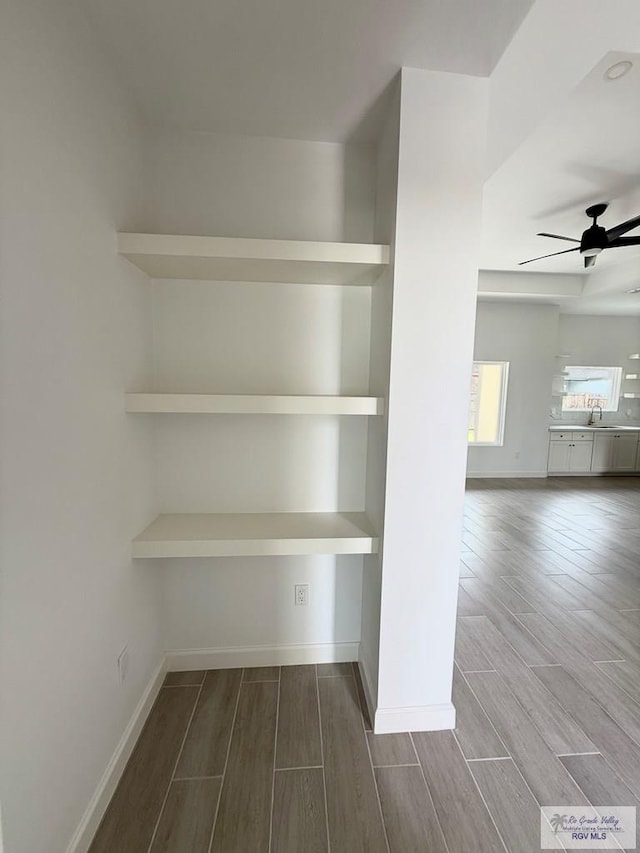 closet featuring a sink