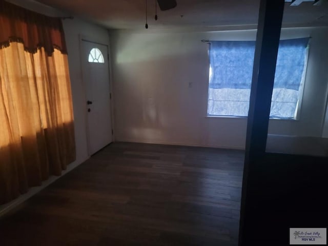 entryway featuring ceiling fan, a healthy amount of sunlight, and dark hardwood / wood-style floors