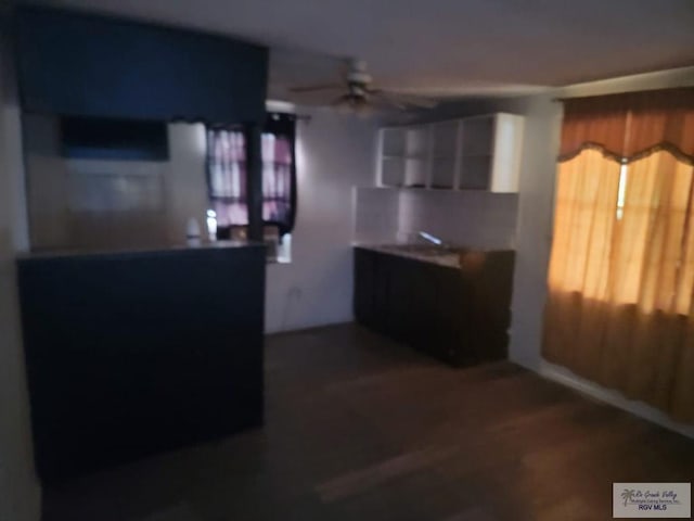 kitchen with dark hardwood / wood-style floors, ceiling fan, and sink