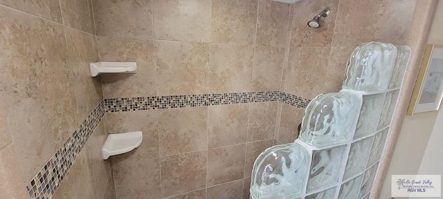 406 Padre Blvd Unit 401, South Padre Island, TX 78597 - full bathroom with tiled shower