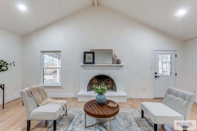 living room featuring a healthy amount of sunlight, a fireplace, and light wood-type flooring