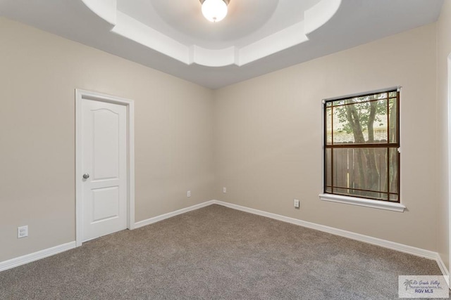 5302 Remington Dr, Harlingen, TX 78552 - spare room featuring carpet and a raised ceiling