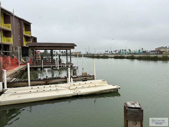 dock area with a water view