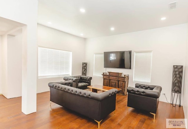 living room with hardwood / wood-style flooring