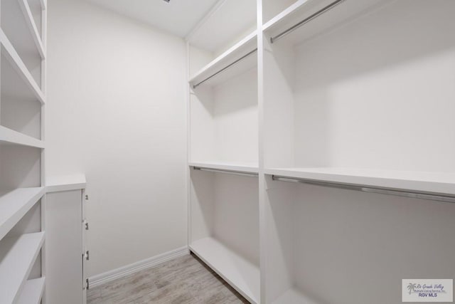 9817 Heights N, Harlingen, TX 78552 - walk in closet with light wood finished floors