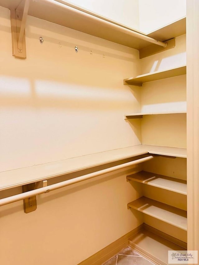 7232 Lago Viejo Blvd, Brownsville, TX 78520 - view of spacious closet