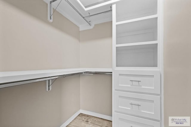 5112 Blackhawk Ave, Rio Grande City, TX 78582 - walk in closet featuring light wood-type flooring