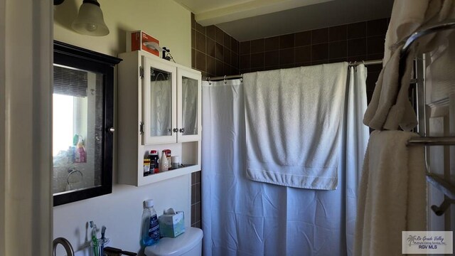 bathroom with toilet and a shower with curtain