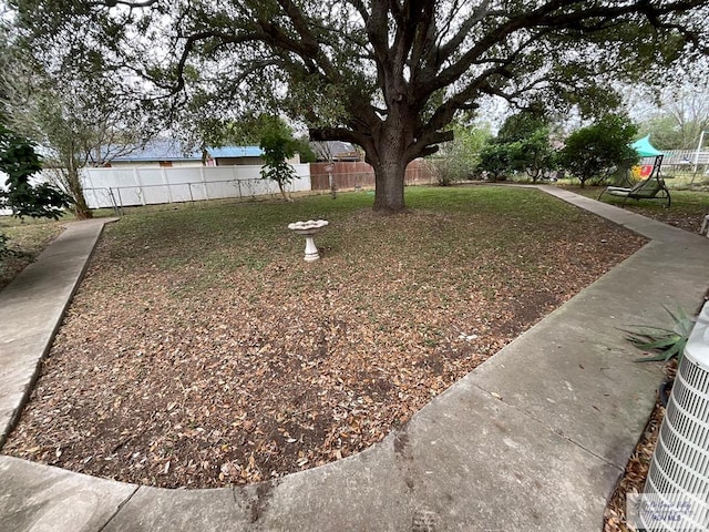 1105 Colt St, La Feria, TX 78559 - view of yard