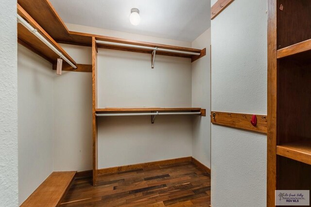 walk in closet with dark hardwood / wood-style flooring