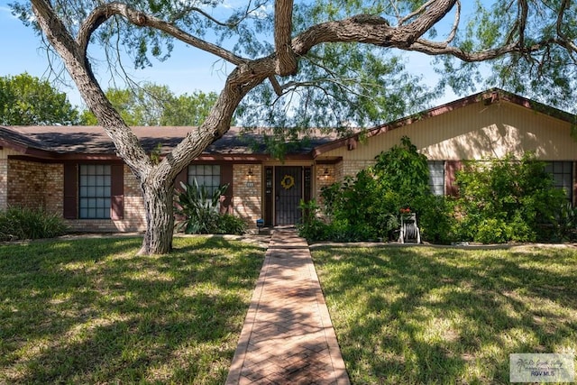 ranch-style house featuring a front lawn