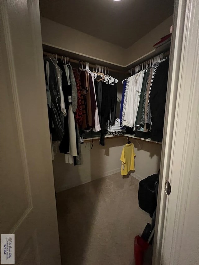 walk in closet with carpet floors