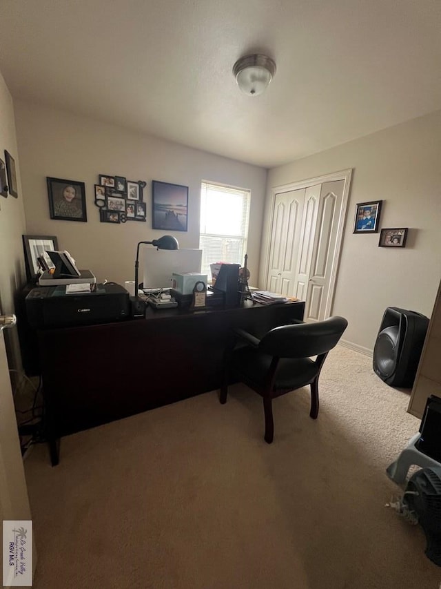office space featuring carpet flooring and baseboards