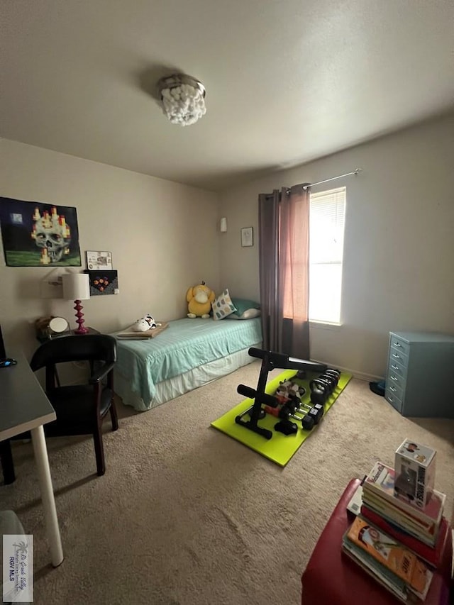 view of carpeted bedroom