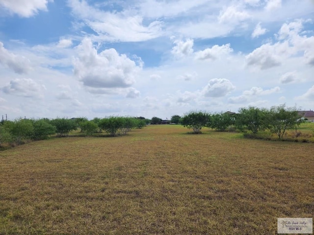 0 Meadow Knoll Dr, Edcouch, TX 78538