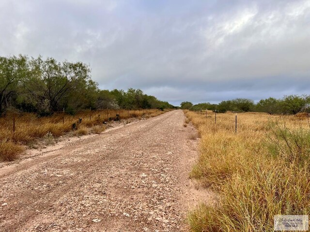 705ACRE Fm 2687, Zapata, TX 78360