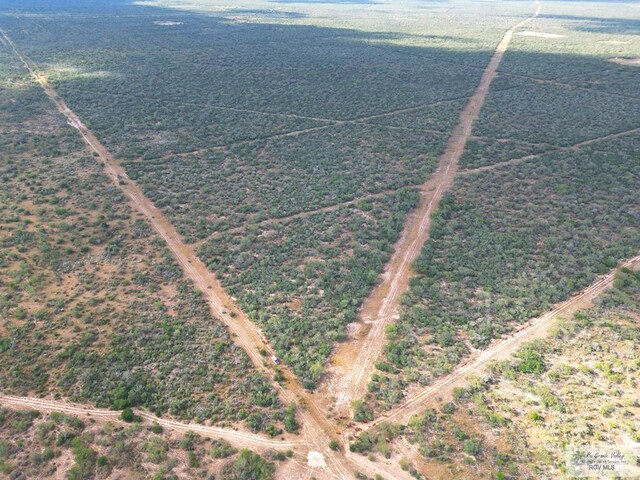 705ACRE Fm 2687, Zapata, TX 78360