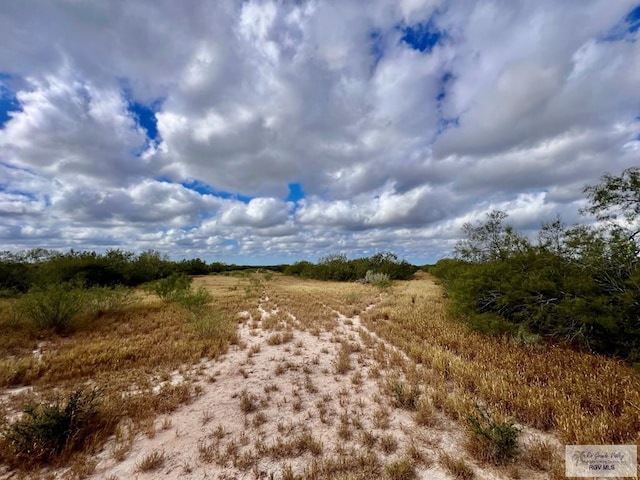705ACRE Fm 2687, Zapata, TX 78360