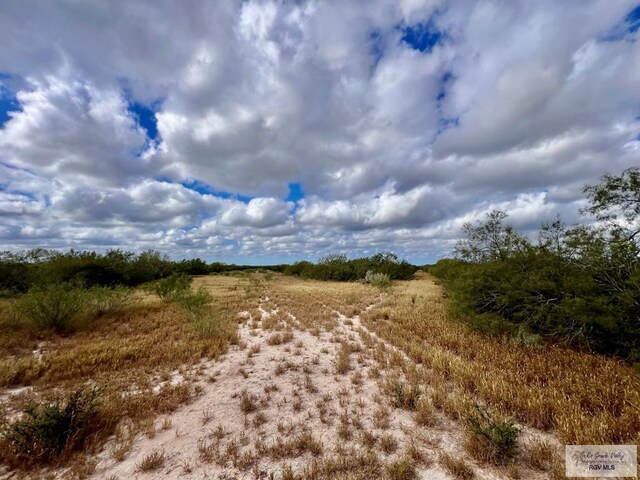 705ACRE Fm 2687, Zapata, TX 78360 - photo 46