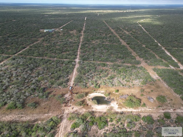 705ACRE Fm 2687, Zapata, TX 78360 - photo 33