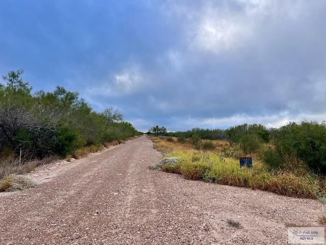 705ACRE Fm 2687, Zapata, TX 78360