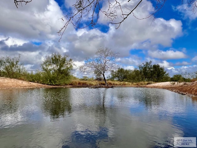 705ACRE Fm 2687, Zapata, TX 78360