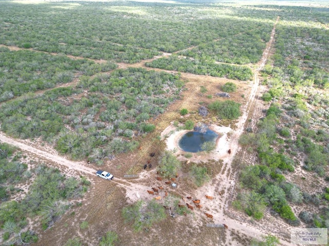 705ACRE Fm 2687, Zapata, TX 78360