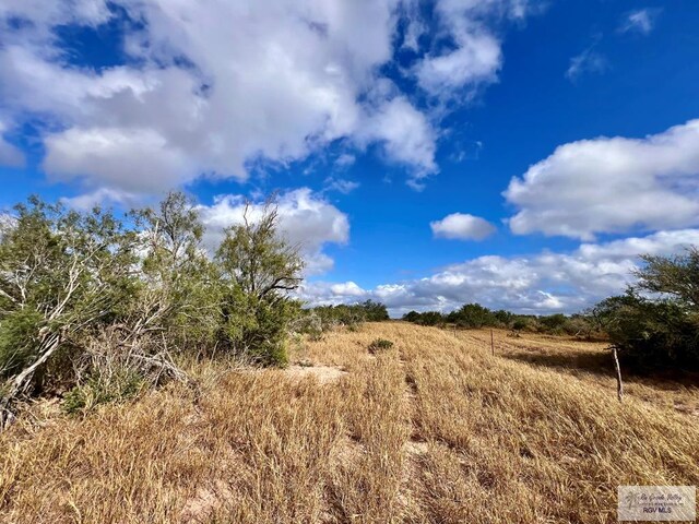 705ACRE Fm 2687, Zapata, TX 78360